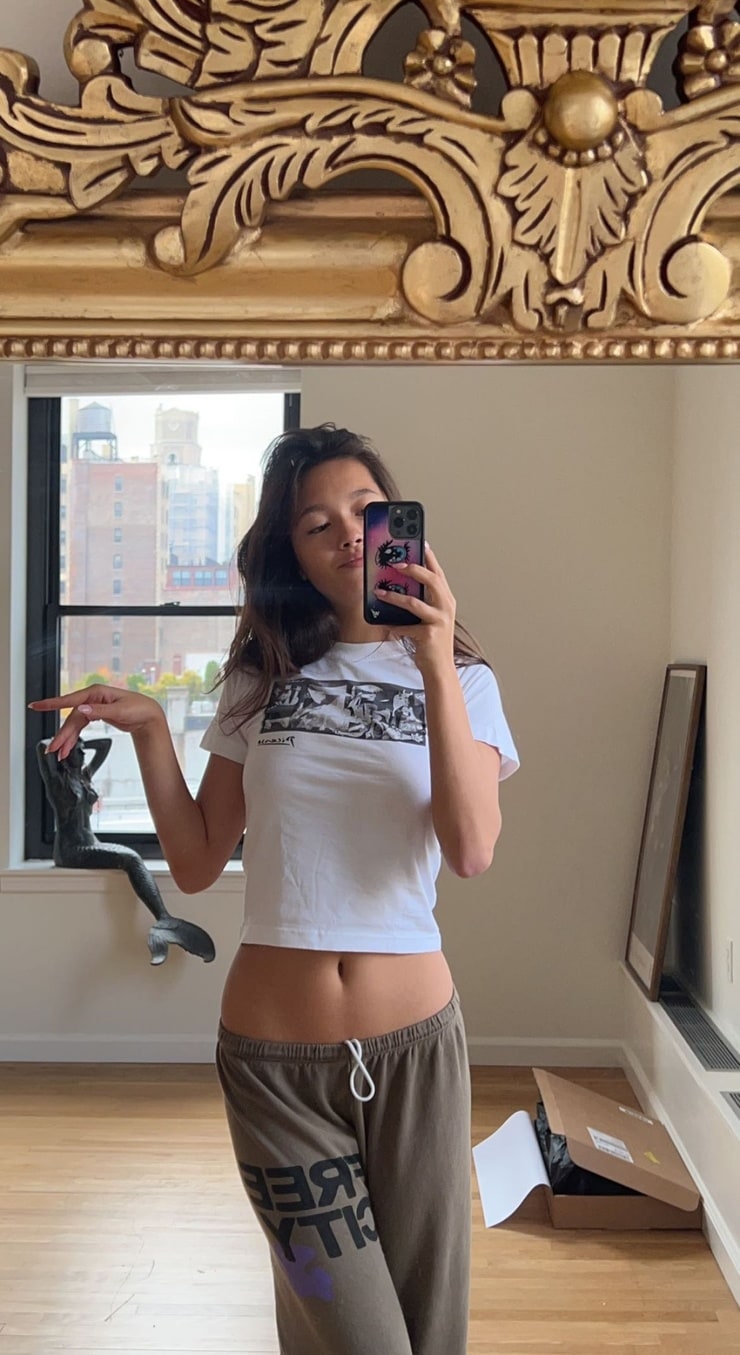 Lily Chee Lily Chee