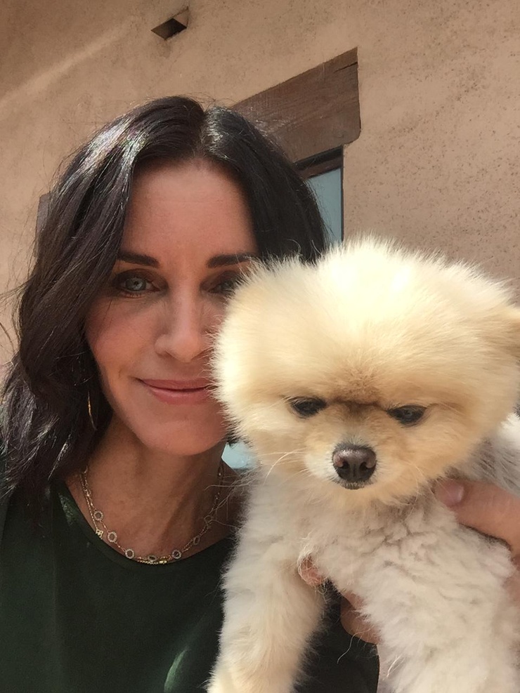 Courteney Cox Courteney Cox