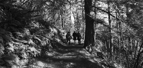 Agalloch Agalloch