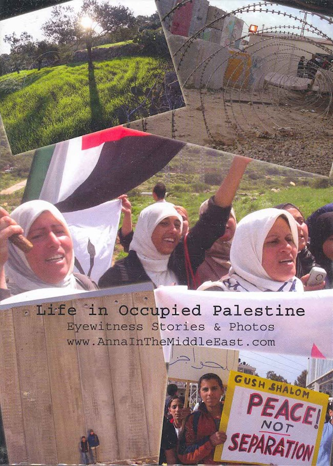 Life in Occupied Palestine: Eyewitness Stories  Photos