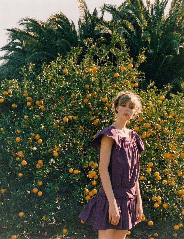 Edie Campbell