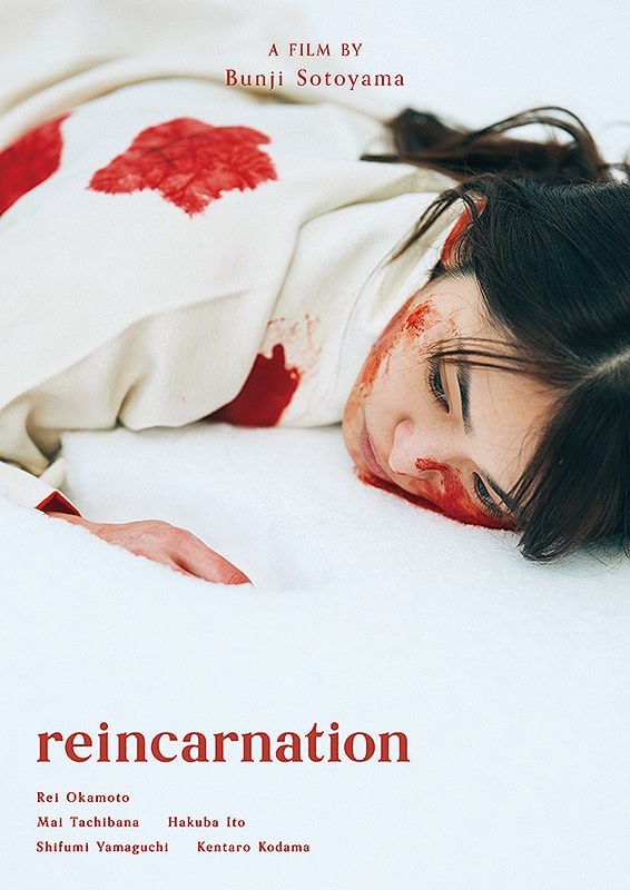 566full Reincarnation Poster 