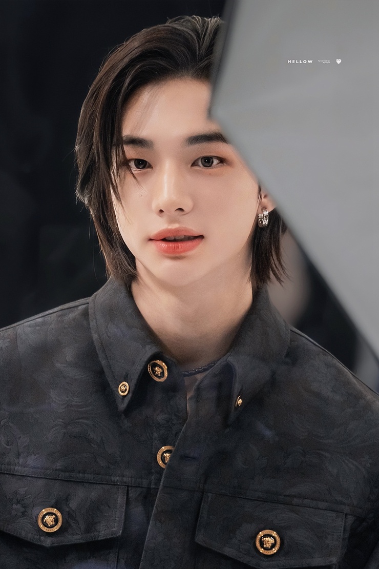 Hyun-Jin Hwang