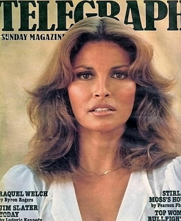 Picture of Raquel Welch