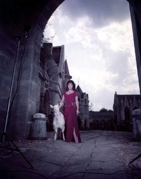Gina Lollobrigida