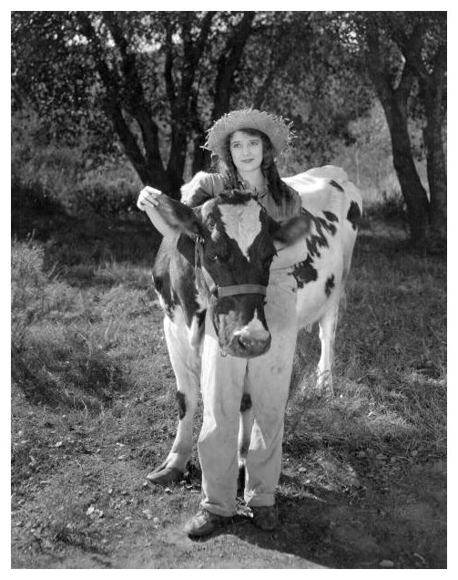 The Perils of Petersboro