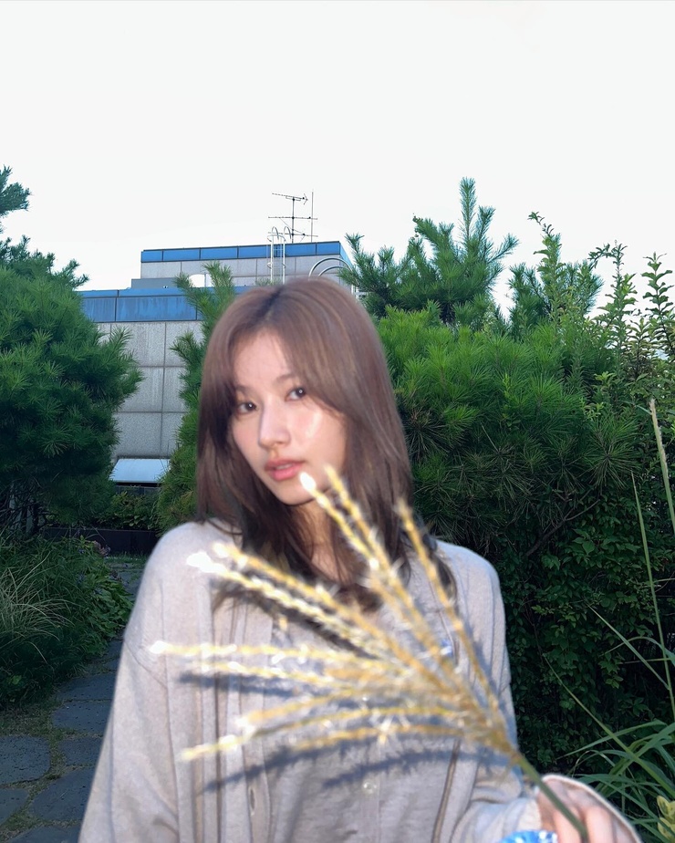 Minatozaki Sana Minatozaki Sana
