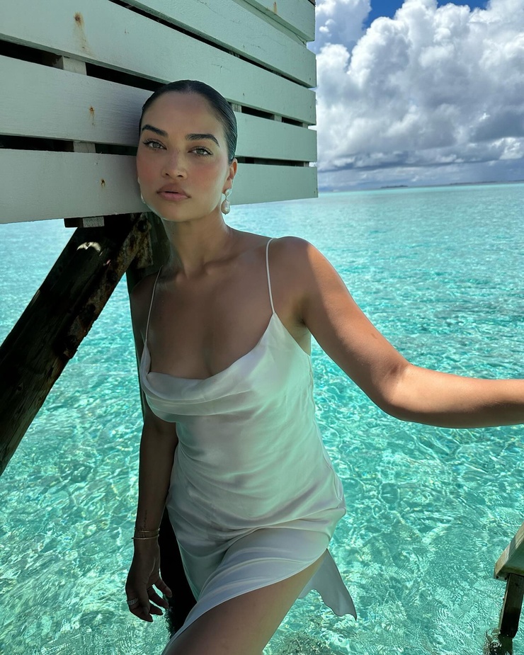 Shanina Shaik