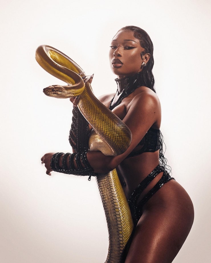 Megan Thee Stallion