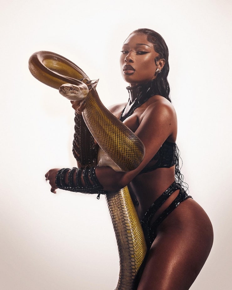 Megan Thee Stallion