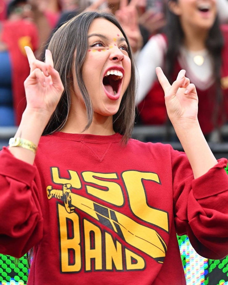 Picture of Olivia Rodrigo