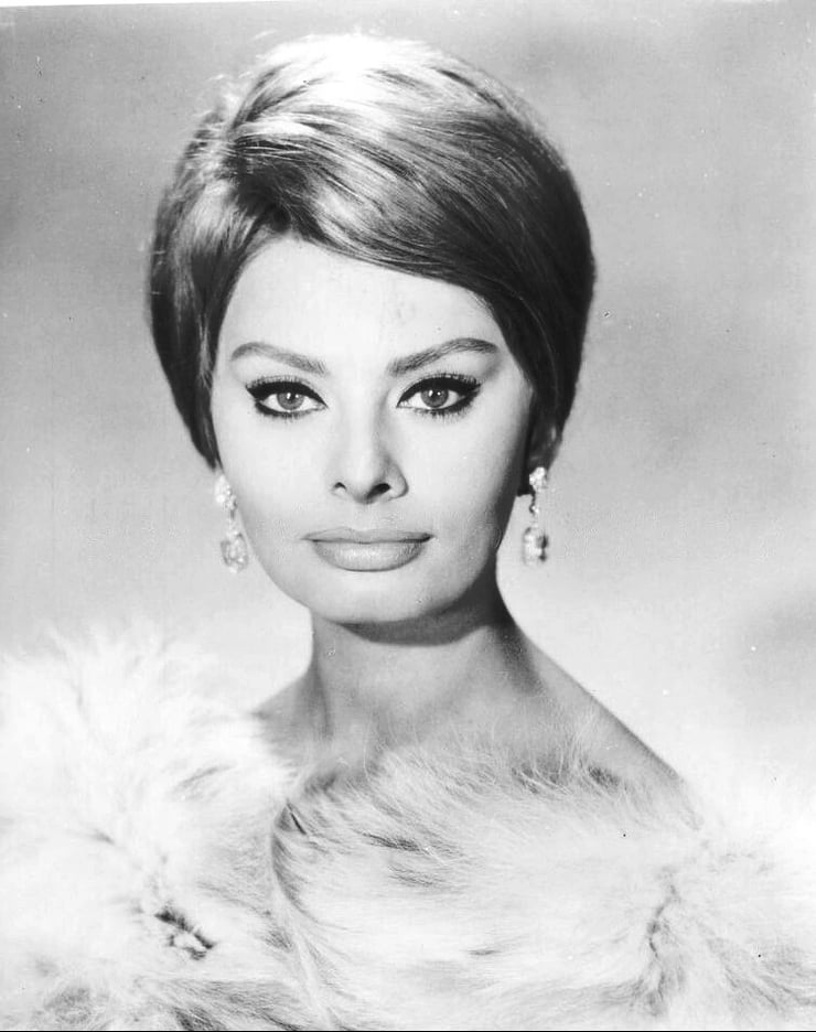 Sophia Loren picture