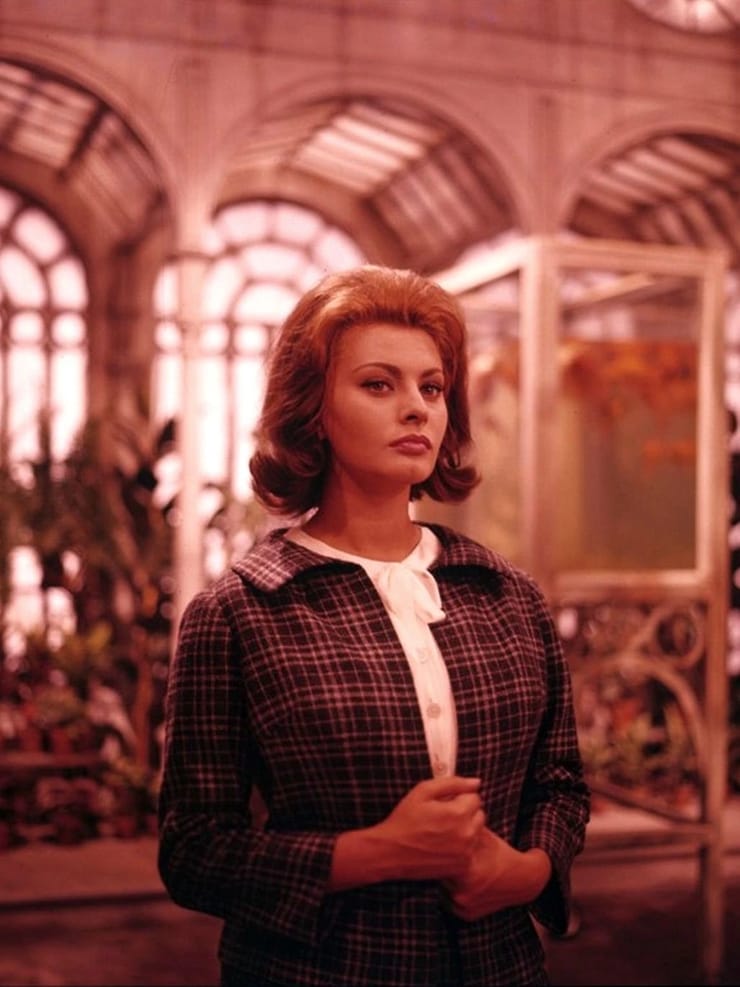 Sophia Loren