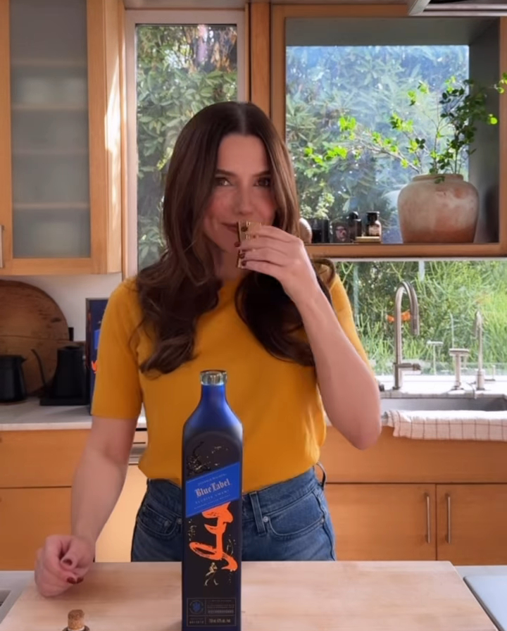Sophia Bush