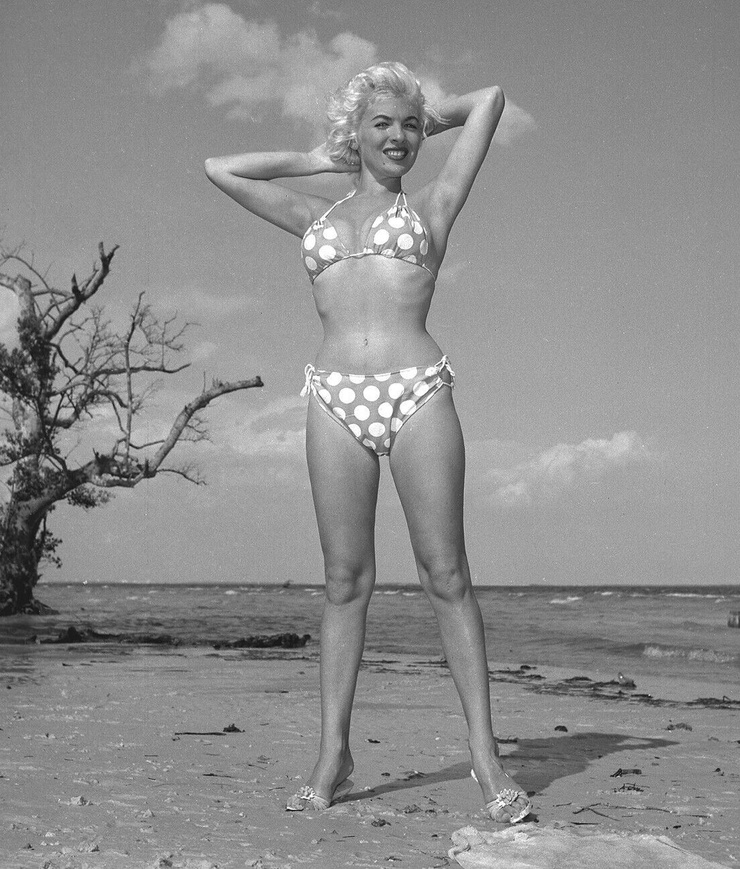 Lori Shea