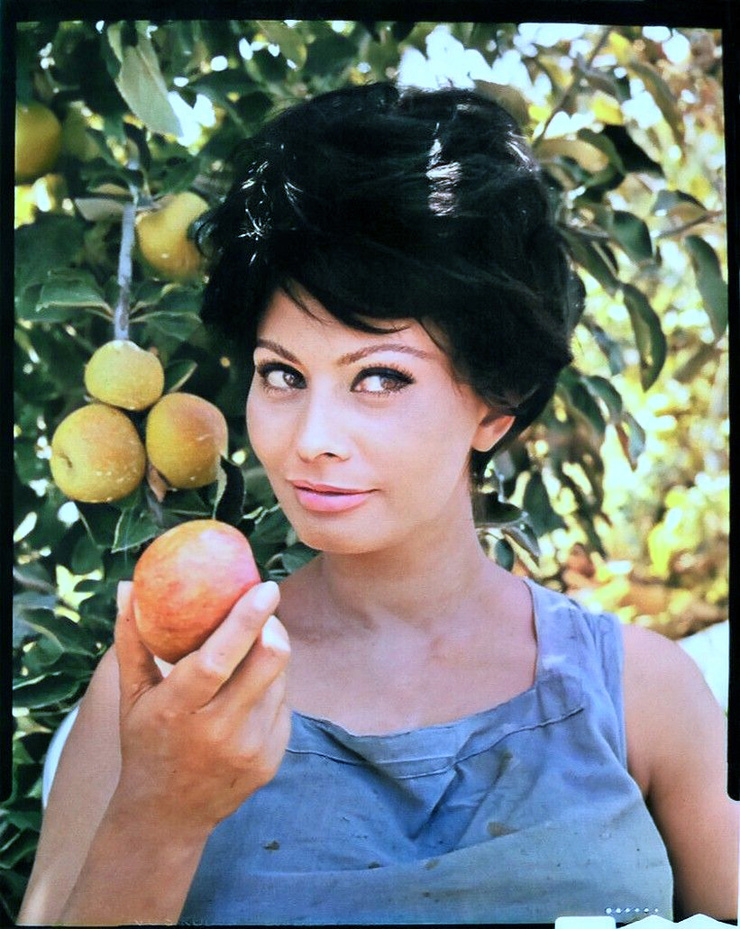Sophia Loren