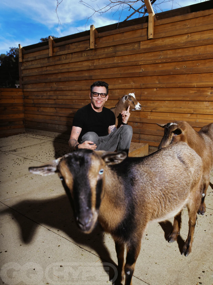 Steve-O