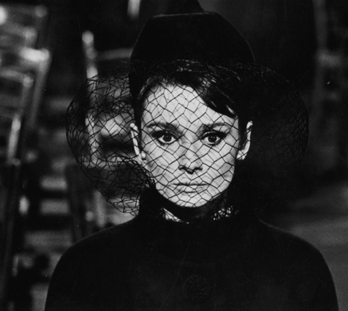 Audrey Hepburn Audrey Hepburn