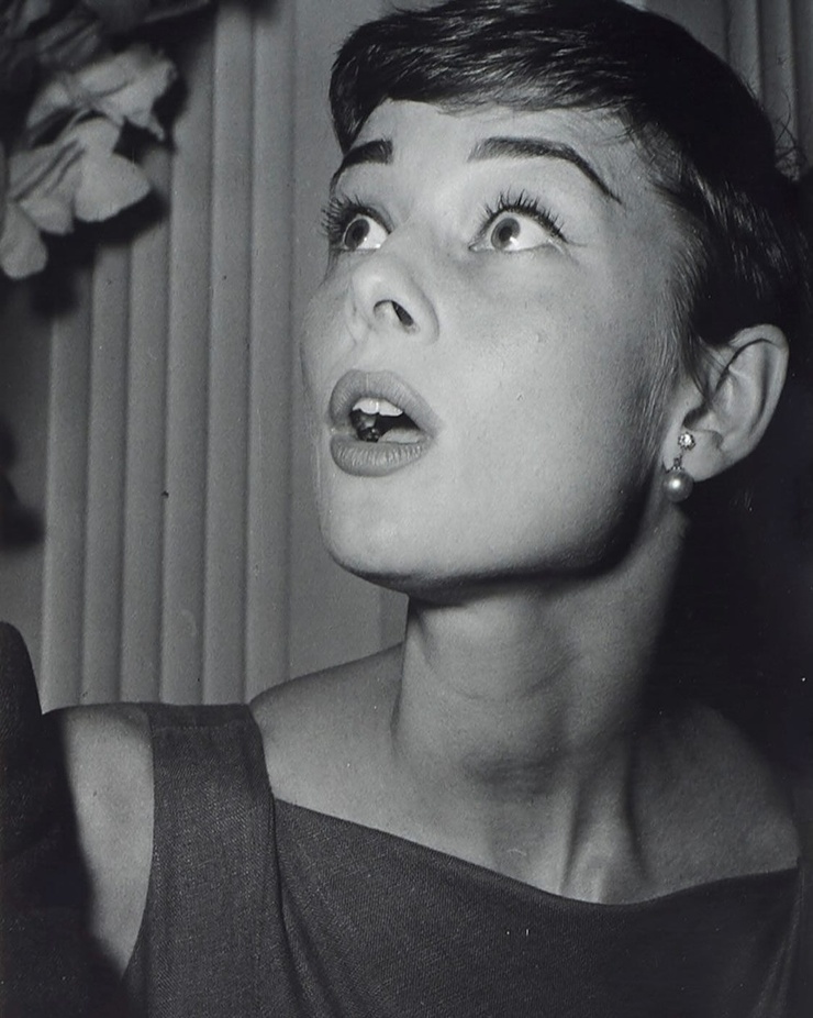 Audrey Hepburn Audrey Hepburn