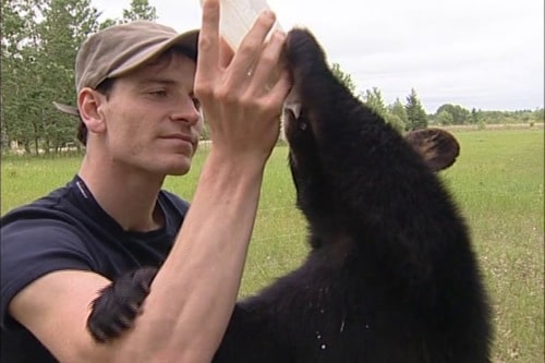 A Bear Named Winnie A Bear Named Winnie