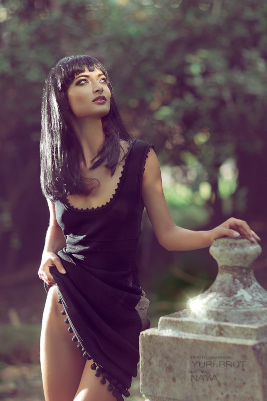 Naya Model