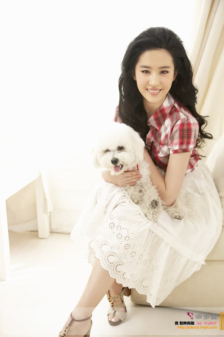 Yifei Liu