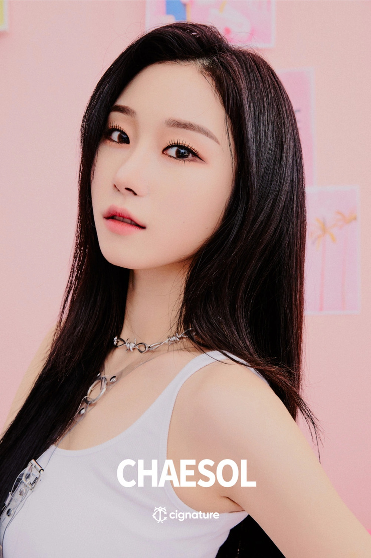 Moon Chaesol