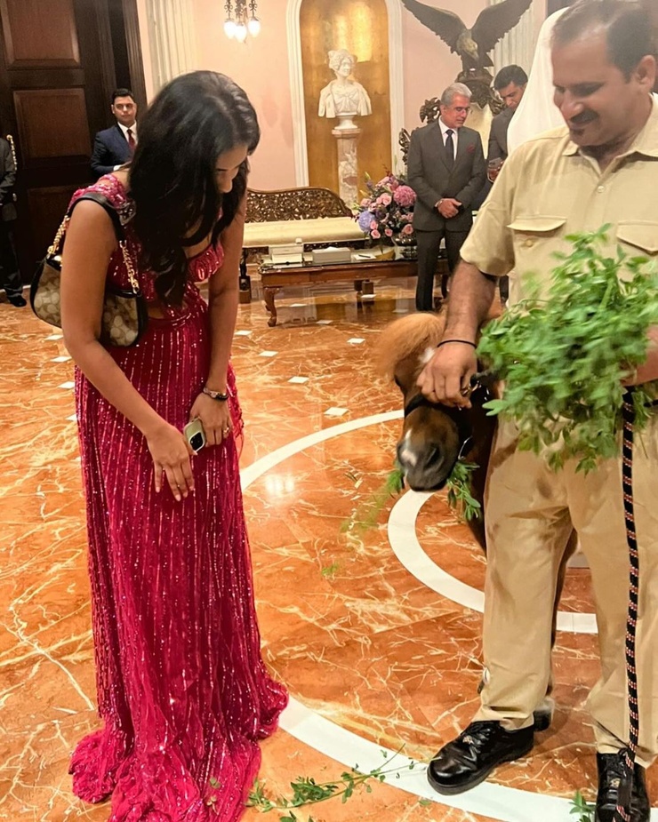 Sini Shetty
