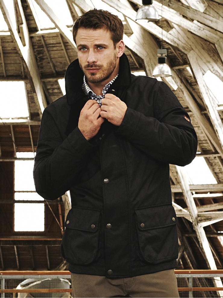 Andrew Stetson