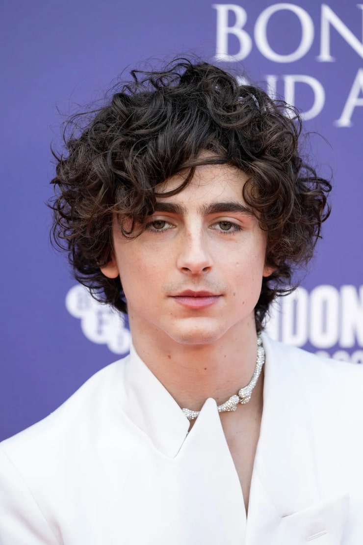 picture-of-timoth-e-chalamet
