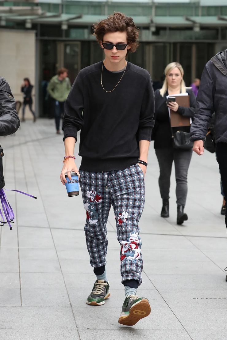 Timothée Chalamet