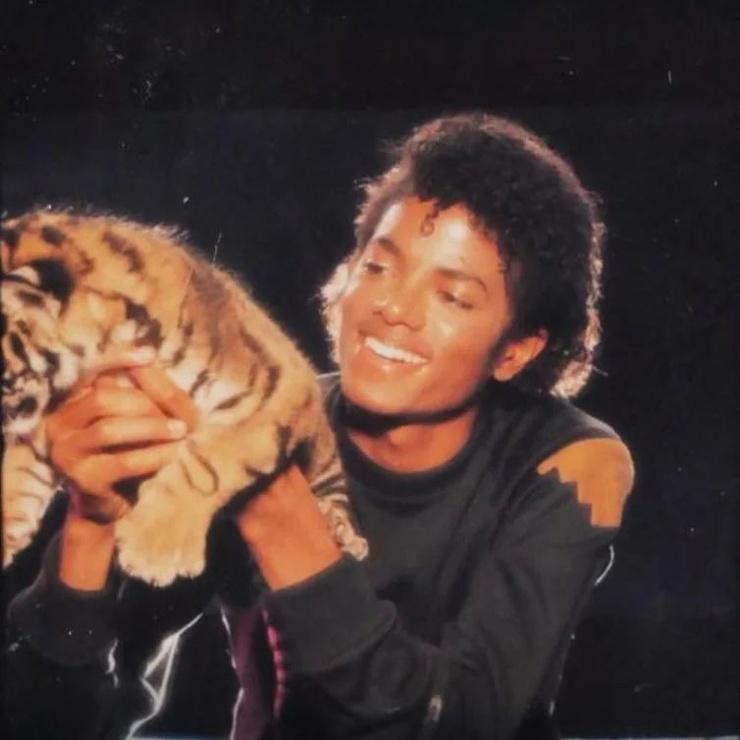 Michael Jackson Michael Jackson