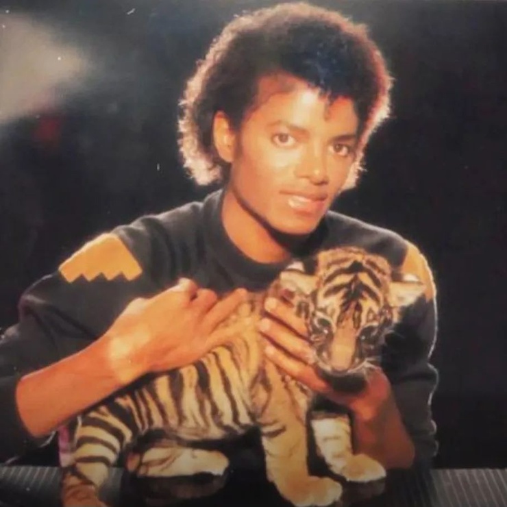 Michael Jackson Michael Jackson