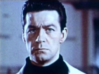 Maurice Kaufmann