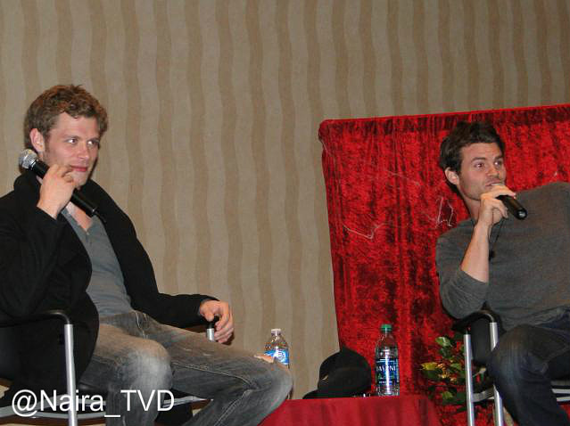 Daniel Gillies