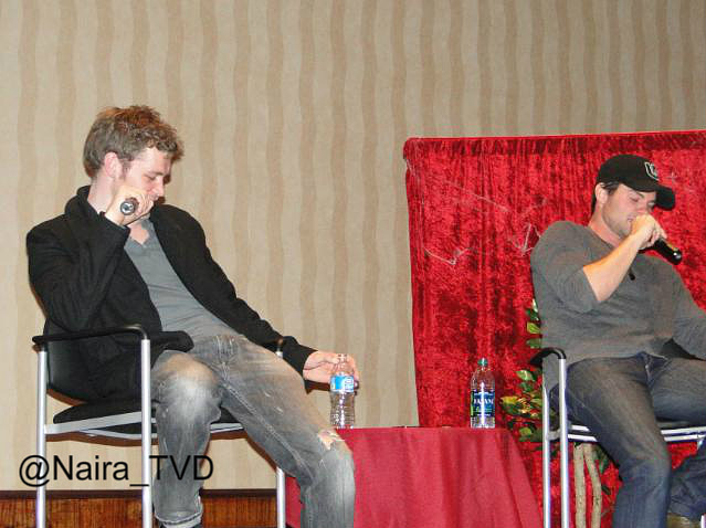 Daniel Gillies