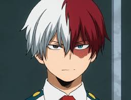 Shoto Todoroki