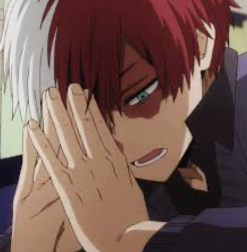 Shoto Todoroki