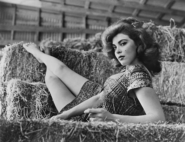 Tina Louise Tina Louise