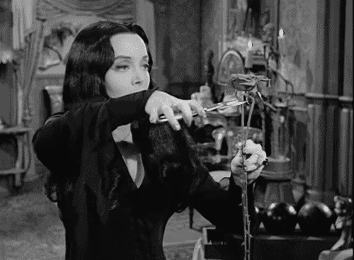 The Addams Family