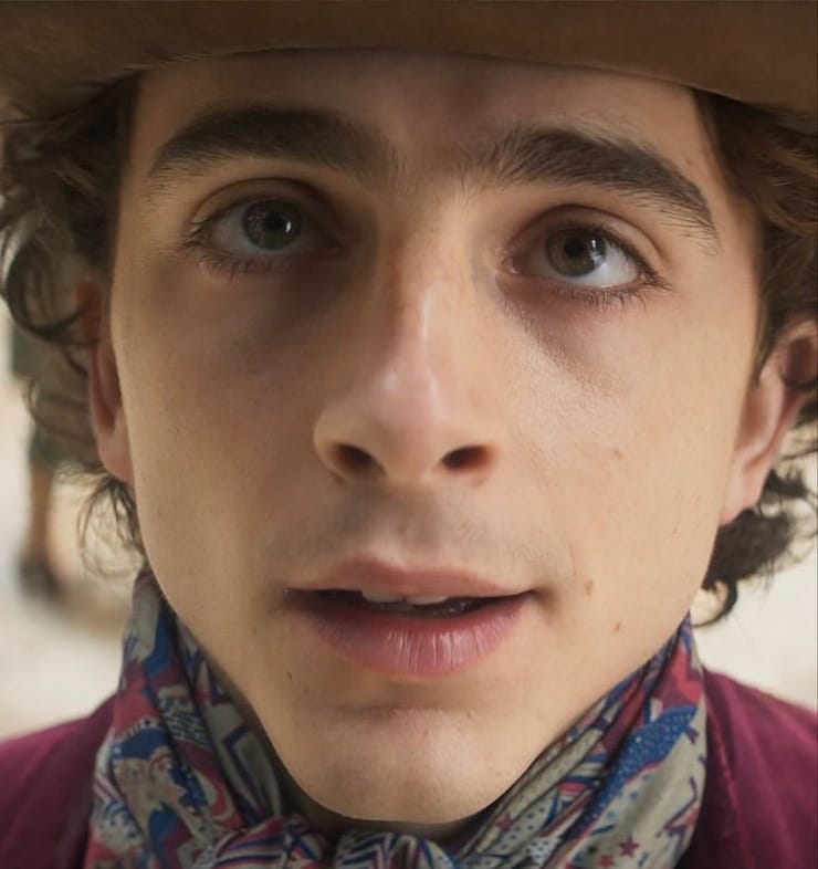 Timothée Chalamet