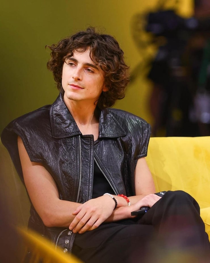 Timothée Chalamet