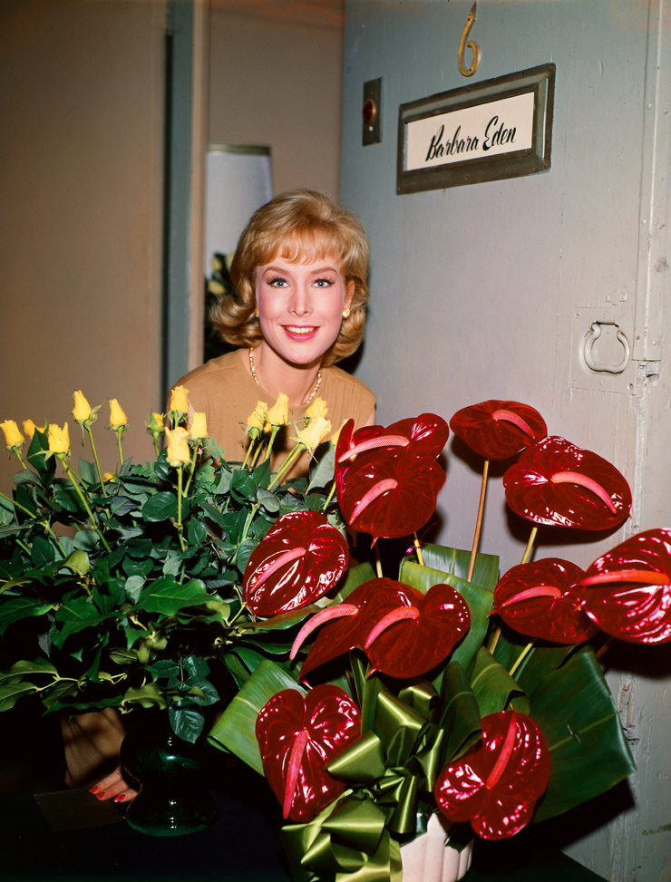 Barbara eden