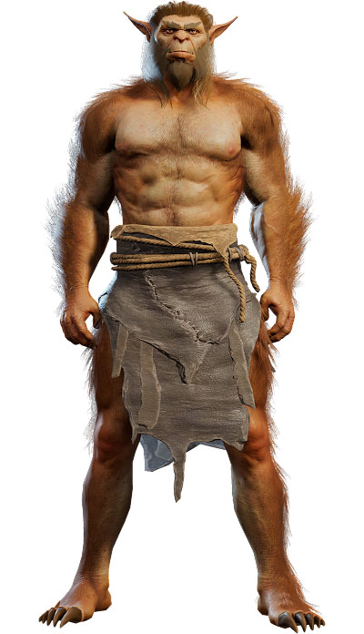 Grukkoh