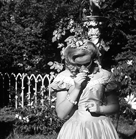 The Proud Princess The Proud Princess