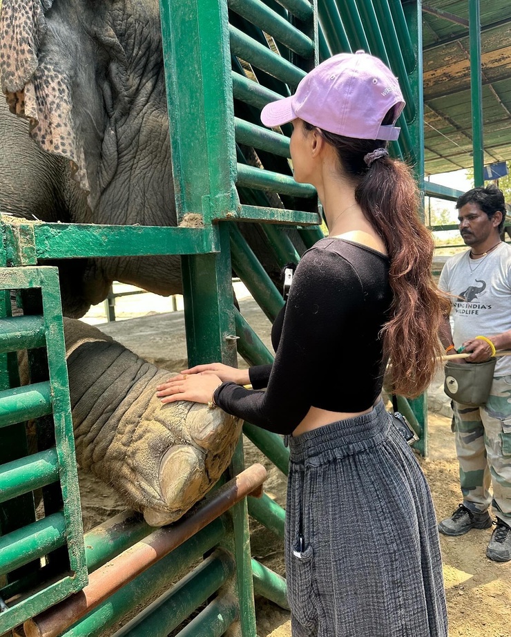 Disha Patani