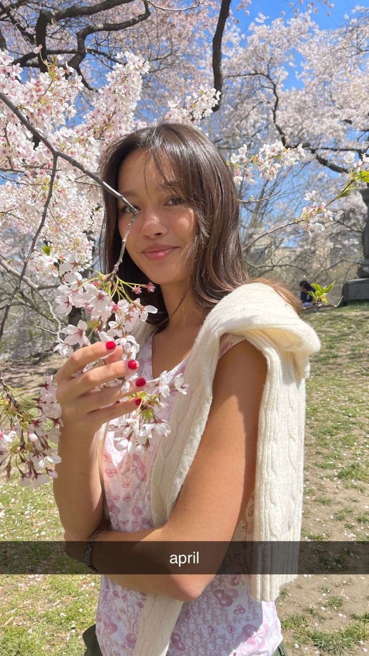 Lily Chee Lily Chee