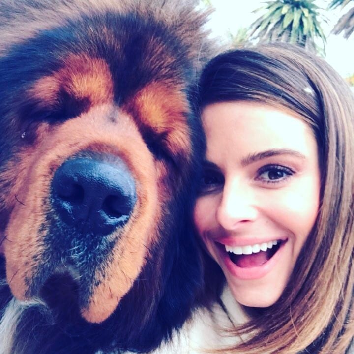Maria Menounos Maria Menounos
