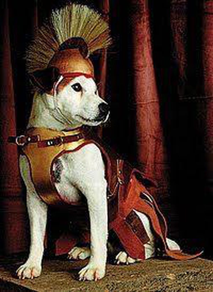 Wishbone