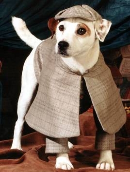 Wishbone